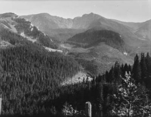 Wald und Berge : Blick über bewaldetes Gebirge