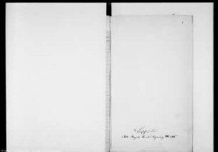 Copiale capituli majoris ecclesiae Magdeburgensis, der Dompröpste zu Magdeburg Konsense, Lehnbriefe etc. enthaltend