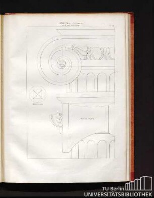 Chapiteau ionique avec le tracé de sa volute. Pl. 20.
