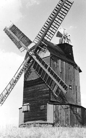 Jesewitz-Gallen. Eckard Mühle, Paltrockmühle (1924 umgebaute Bockmühle)