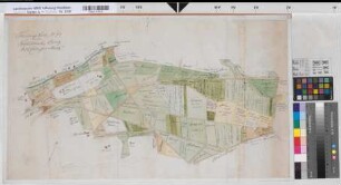 Borgholzhausen (Borgholzhausen) Vermessung des Fahlbruchs in der Borgholzhauser Mark 1772 o.M. 44 x 78 kol. Zeichnung (M. Reinhold) Spez.Verz. Markenkarten X Nr. 34
