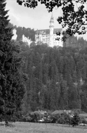Hohenschwangau: Alpsee mit Schloss Neuschwanstein