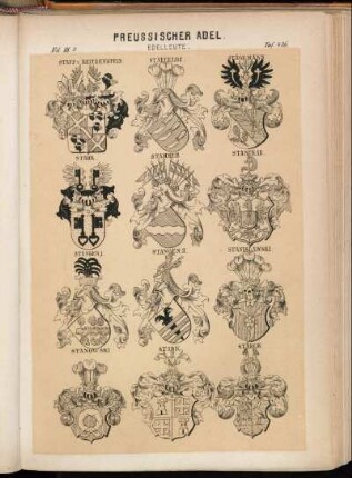 Taf. 436. Staff v. Reitzenstein. - Staffelde. - Stägemann. - Stahr. - Stammer. - Stanckar. - Stangen I. - Stangen II. - Stanislawski. - Stanowski. - Stark. - Stårck
