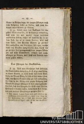 Das Pflanzen der Runkelrüben.