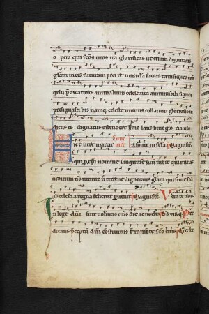 Commune unius martyris