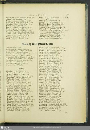 Kiebitz mit Pfarrsteina