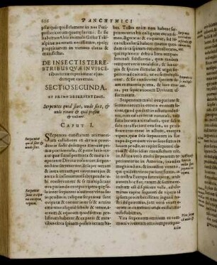 De Insectis Terrestribus Quæ Invisceribus terræ reperiuntur ejusdemque cavernis. Sectio Secunda.