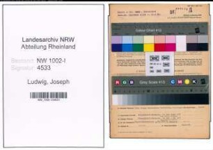 Entnazifizierung Joseph Ludwig, geb. 10.10.1894 (Pfoertner)