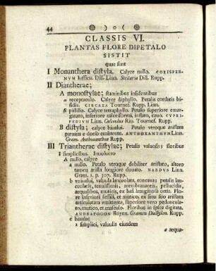 Classis VI. Plantas Flore Dipetalo Sistit ...