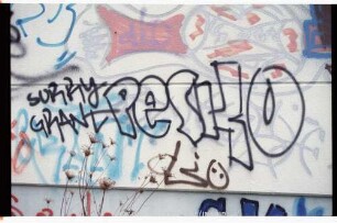 PeSKO