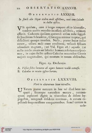 Observatio LXXXVIII