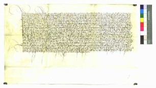 Meister Peter Villembach zu Rottweil, der wegen wohlverschuldeter Sachen von Bürgermeister und Rat der Stadt Rottweil inhaftiert und wieder freigelassen wurde, schwört Urfehde.