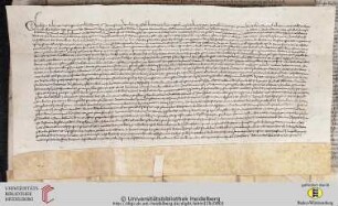 Text Vorderseite (Urk. Lehmann 329)