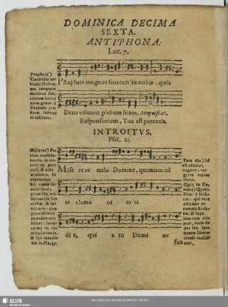 Dominica decimasexta post trinitatis