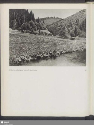 Mühle im Schleusegrund oberhalb Schönbrunns