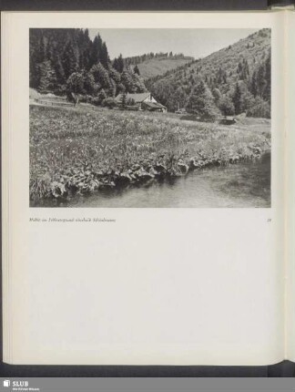 Mühle im Schleusegrund oberhalb Schönbrunns