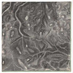 Bärenfels, Schellerhau, Bärenburg, Falkenhain, Johnsbach, Hirschsprung. Blatt 316 aus: Meilenblätter von Sachsen