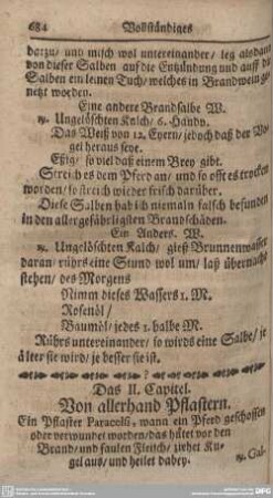 Das II. Capitel. Von allerhand Pflastern.