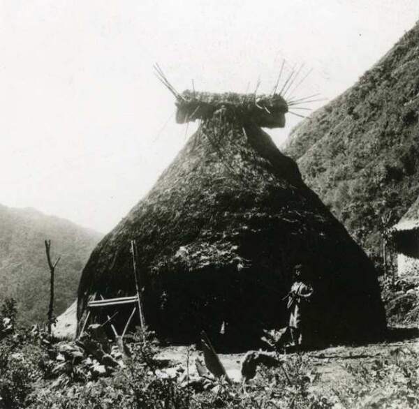 Cabane de la danse