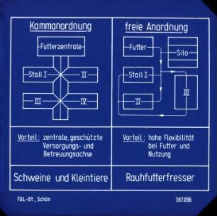 Schweine und Kleintiere;Rauhfutterfresser