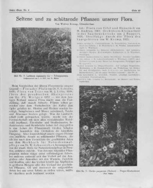Seltene und zu schützende Pflanzen unserer Flora.