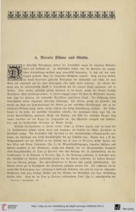 A. Niccolo Pisano und Giotto