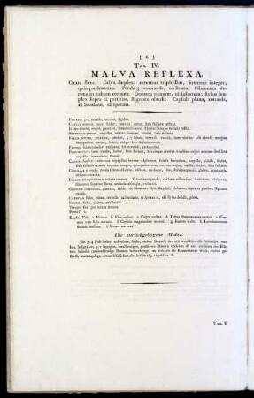 Tab. IV. Malva Reflexa.