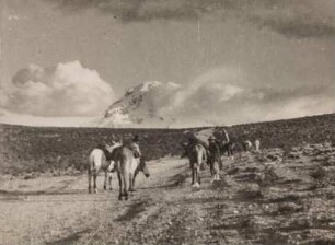Reisegruppe im Altiplano (Sammlung Richard Wegner 1869/1931)