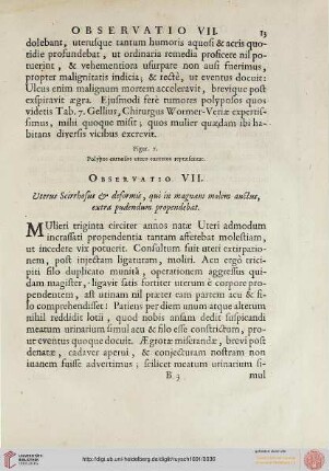 Observatio VII