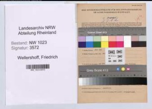 Entnazifizierung Friedrich Wellershoff , geb. 05.08.1896 (Architekt)