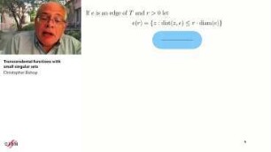 Transcendental functions with small singular sets