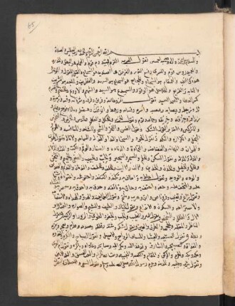 Fiqh al-luġa wa-sirr al-ʿarabīya