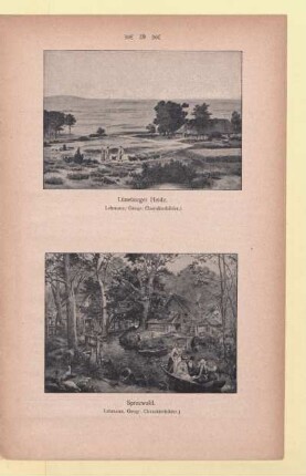 Lüneburger Heide