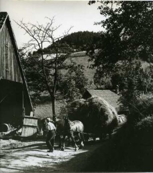 Heuernte im Schwarzwald