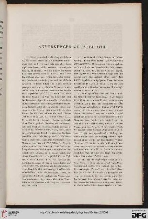 Anmerkungen zu Tafel XVIII
