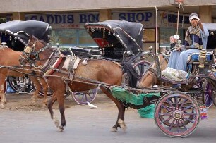 Luxor - Pferdekutsche im Zentrum : Kutsche für Touristen in Luxor, aufgenommen 2006
