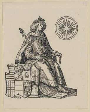Bildnis des Ludwig II. von Ungarn