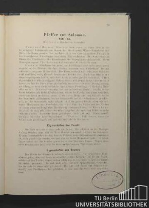 Pfeffer von Salomon. Tafel 23.