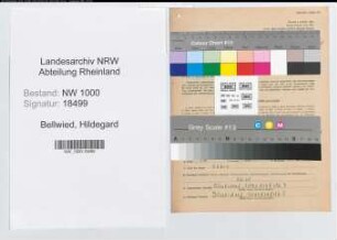 Entnazifizierung Hildegard Bellwied, geb. 13.10.1909 (Techn.Lehrerin)