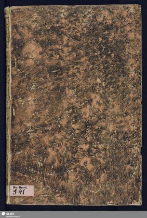 Comparatio turbarum Regni Poloniae cum Firmamento coelesti, de A° 1673 - Mscr.Dresd.G.41