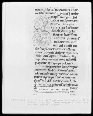 Homiliarium — Initiale S(iout), Folio 68verso