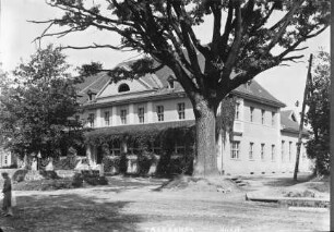 Hotel Elch