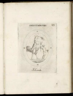 Gallo Et Mercurio