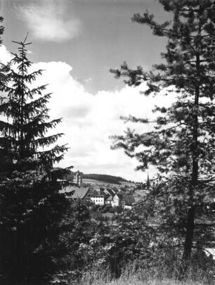 Reichenstein (Złoty Stok). Stadtansicht