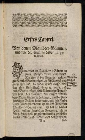5-16, Erstes - drittes Capitel