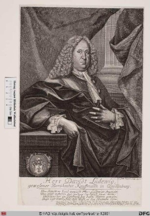 Bildnis David Ludewig