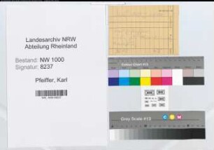 Entnazifizierung Karl Pfeiffer, geb. 24.08.1891 ()