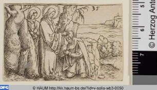 Heilung eines Aussätzigen (Matthäus 8, 1-4)