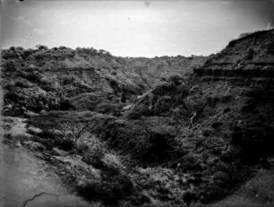 trockenes Flusstal : Blick auf ein trockenes Flusstal