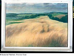 Sommerlandschaft